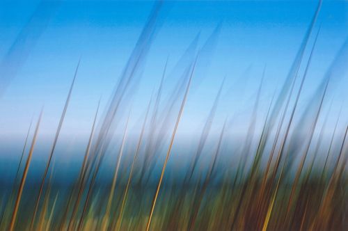  EL FOTÓGRAFO VALENCIANO VICENTE ALEMANY CERVERA GANA EL PREMIO CAMINO DEL CID DE FOTOGRAFÍA 2012